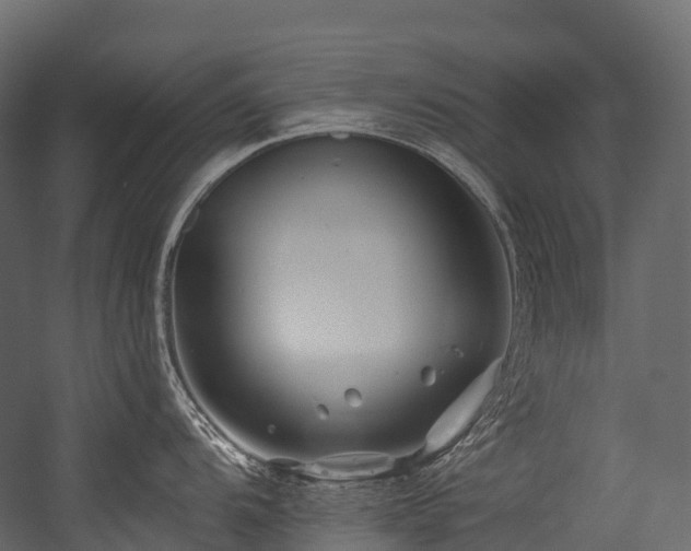 X0000054421104200507291242