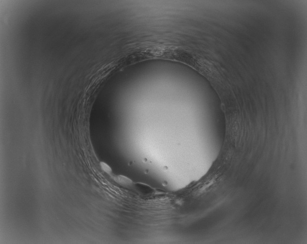 X0000054421105200507291242