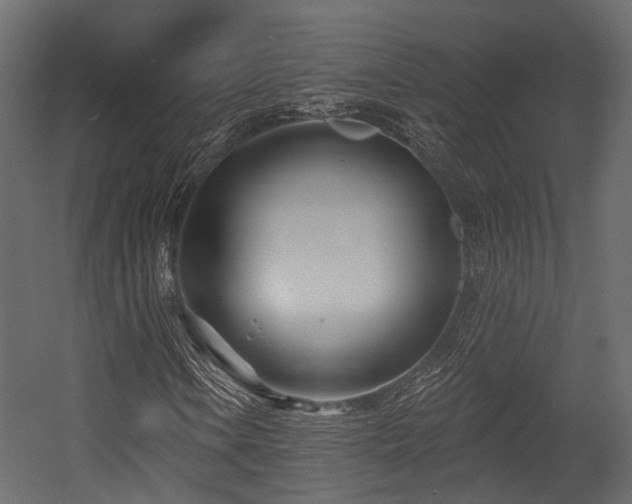 X0000054421106200507291242