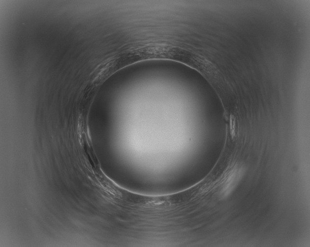 X0000054421107200507291242