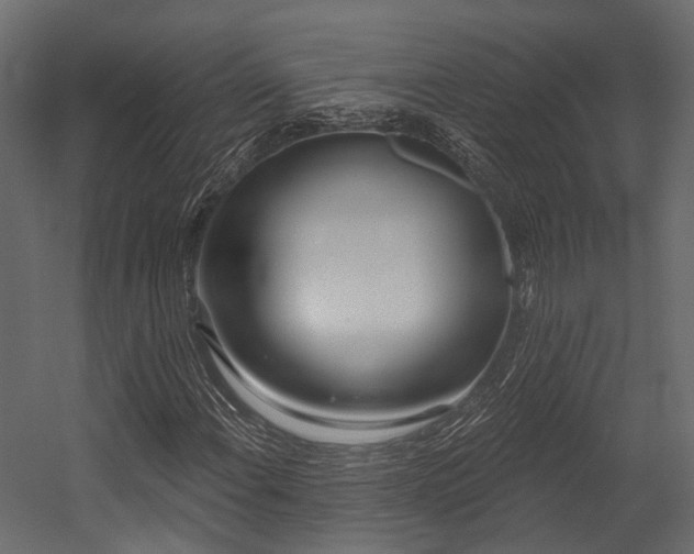 X0000054421108200507291242