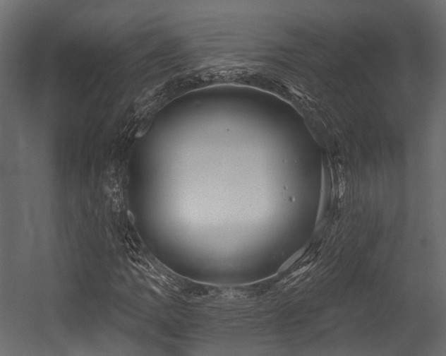 X0000054421109200507291242