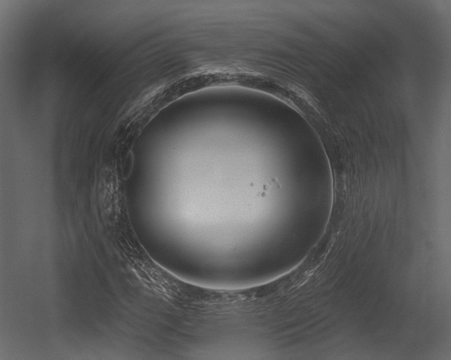 X0000054421111200507291242