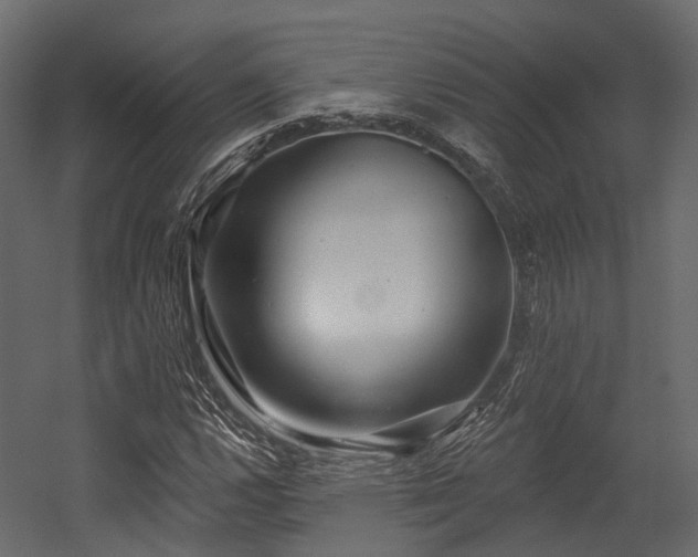 X0000054421112200507291242