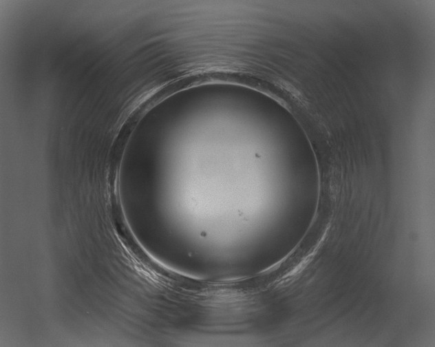 X0000054421113200507291242