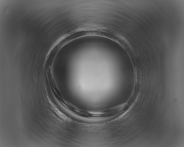 X0000054421114200507291242