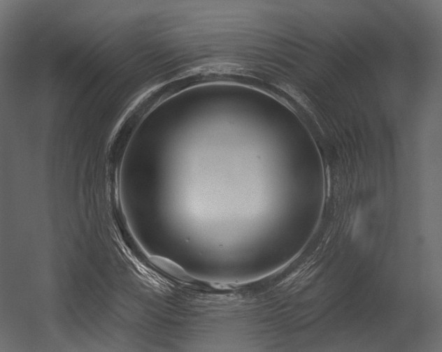 X0000054421115200507291242