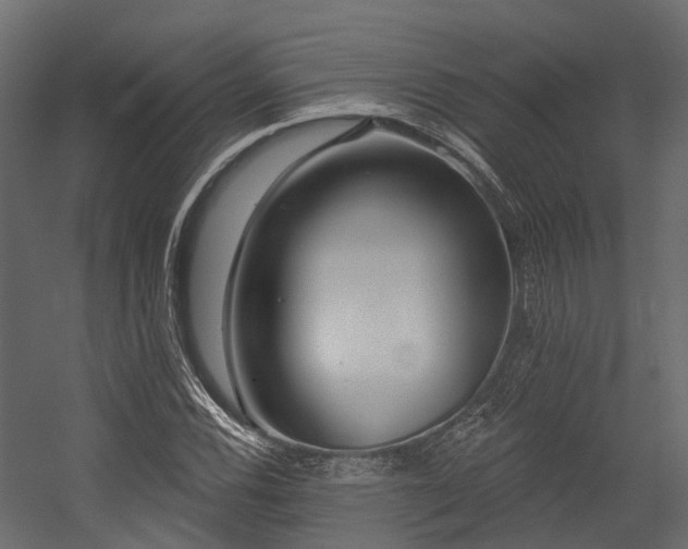 X0000054421116200507291242