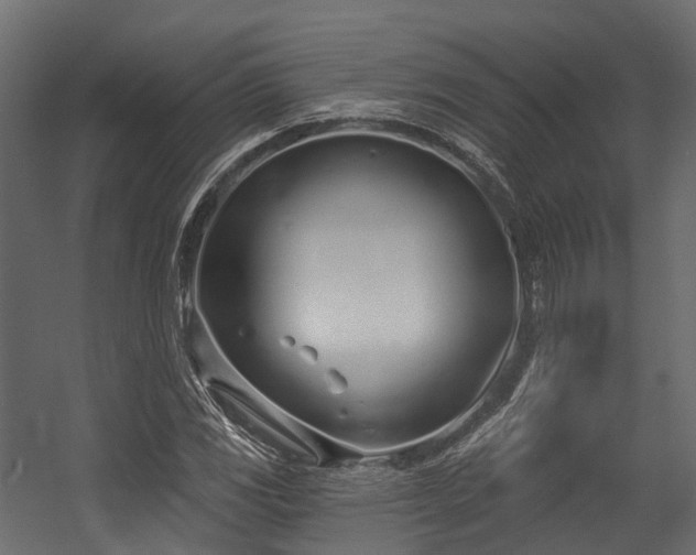 X0000054421117200507291242