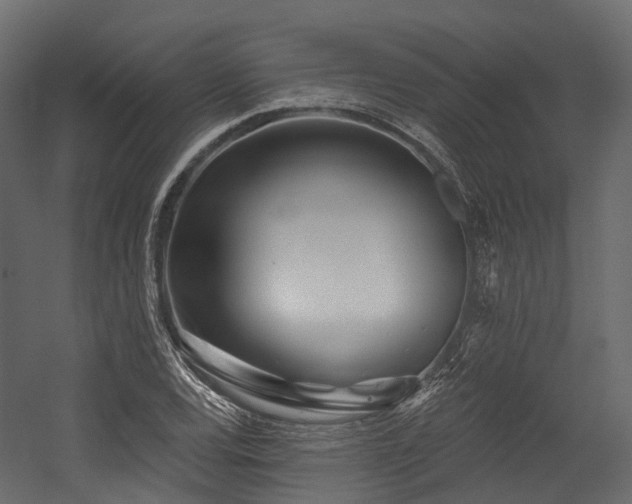 X0000054421120200507291242