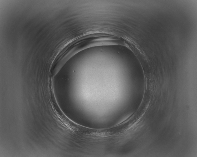 X0000054421121200507291242