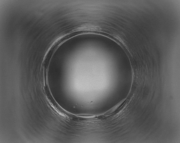 X0000054421123200507291242