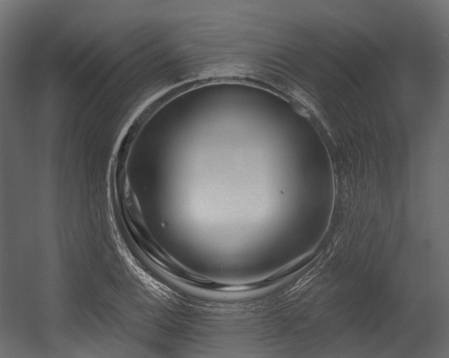 X0000054421124200507291242