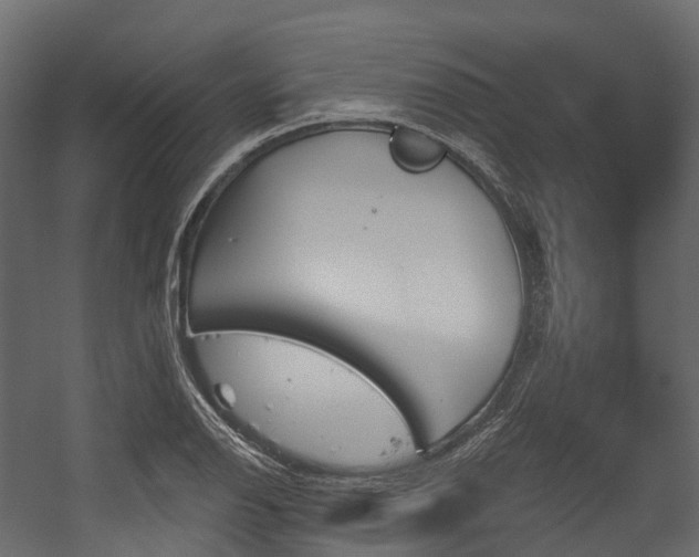 X0000054421126200507291242