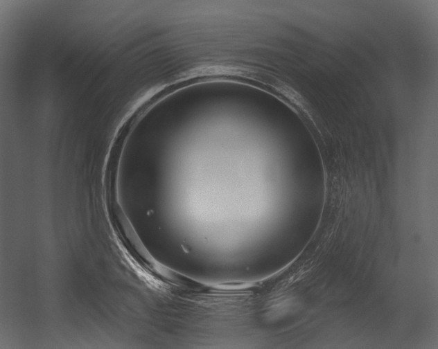 X0000054421127200507291242