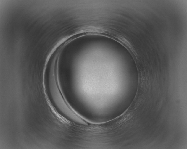 X0000054421128200507291242