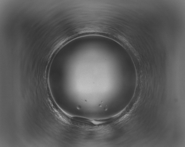 X0000054421129200507291242