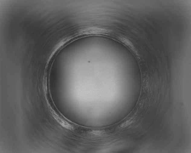 X0000054421130200507291242