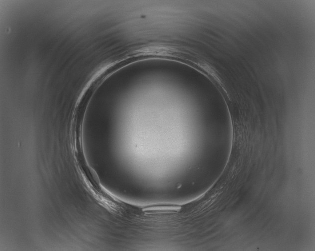 X0000054421131200507291242