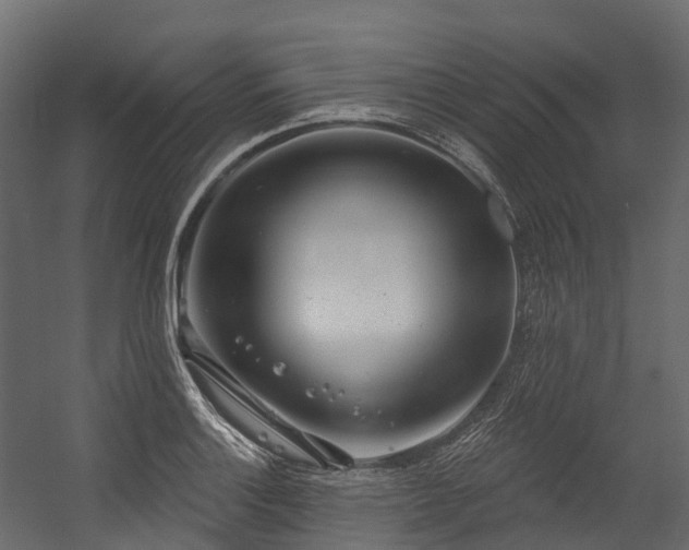 X0000054421132200507291242