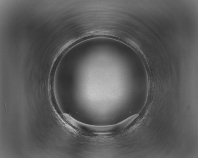 X0000054421133200507291242