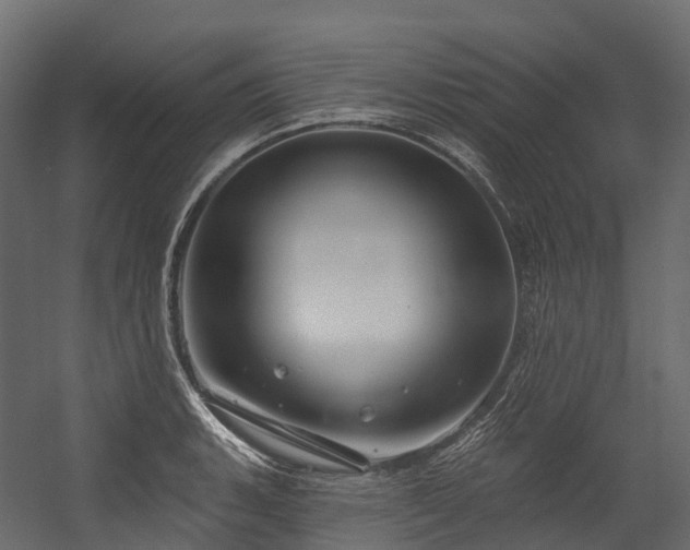 X0000054421135200507291242