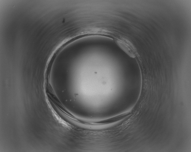 X0000054421136200507291242