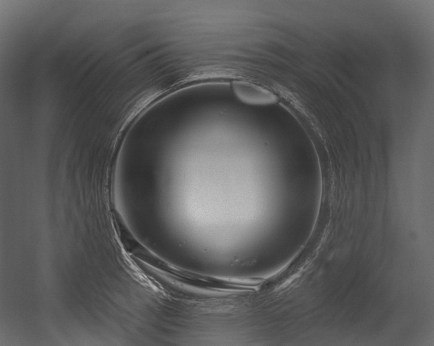 X0000054421137200507291242