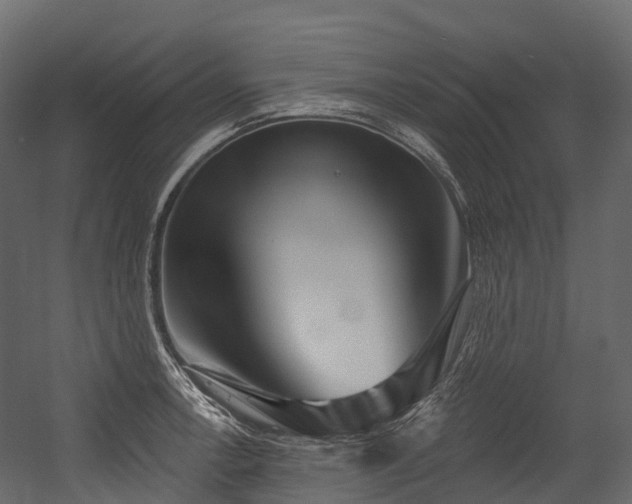 X0000054421138200507291242