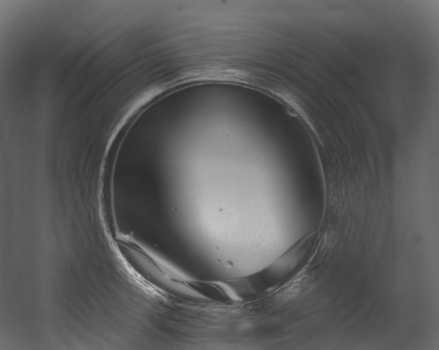 X0000054421139200507291242