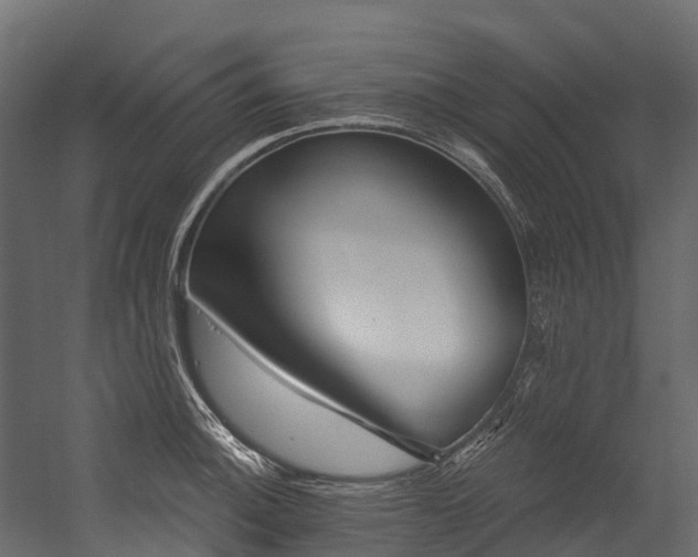 X0000054421140200507291242