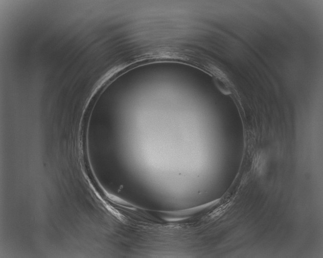 X0000054421141200507291242