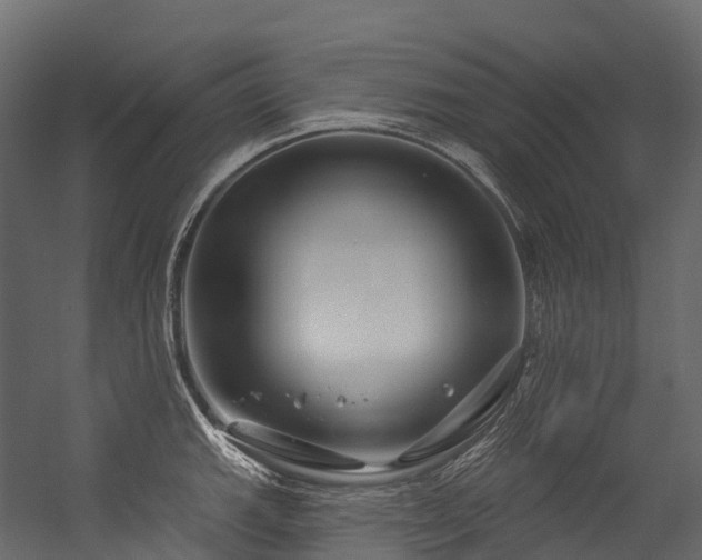 X0000054421143200507291242