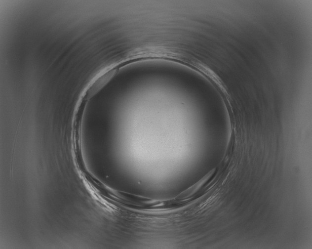 X0000054421144200507291242