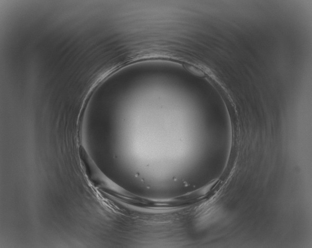 X0000054421145200507291242