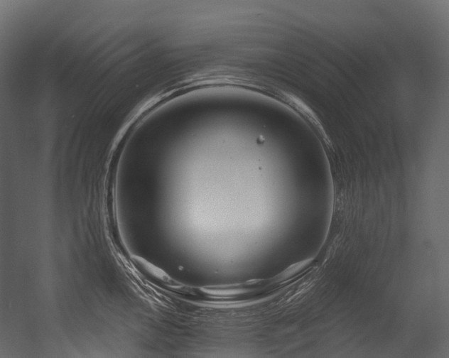 X0000054421146200507291242