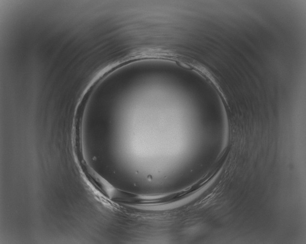 X0000054421147200507291242