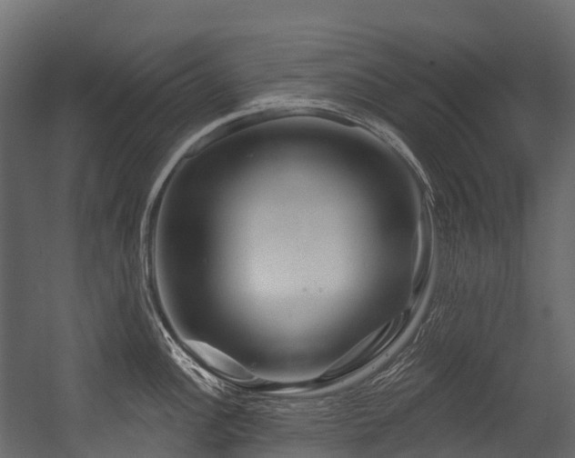 X0000054421148200507291242