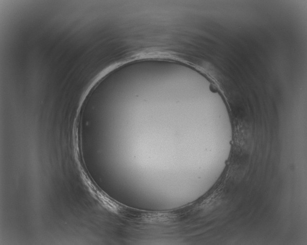 X0000054421150200507291242