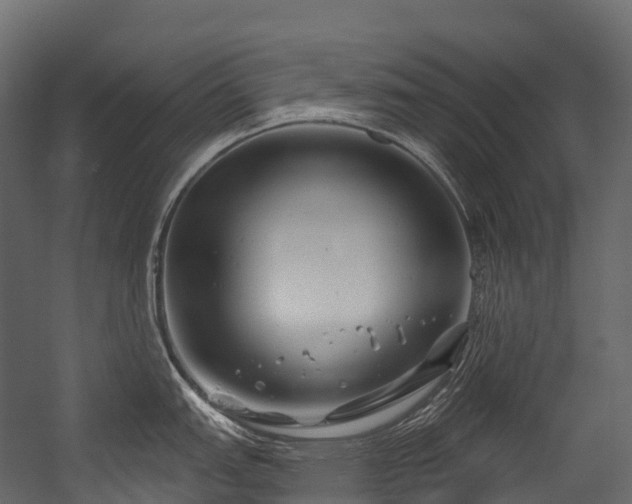 X0000054421151200507291242