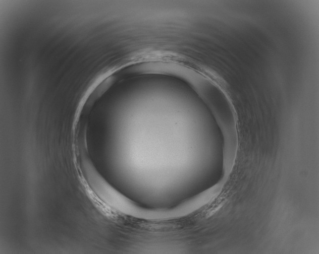 X0000054421152200507291242