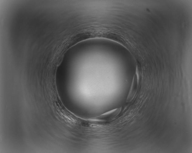 X0000054421153200507291242