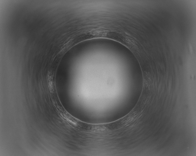 X0000054421154200507291241