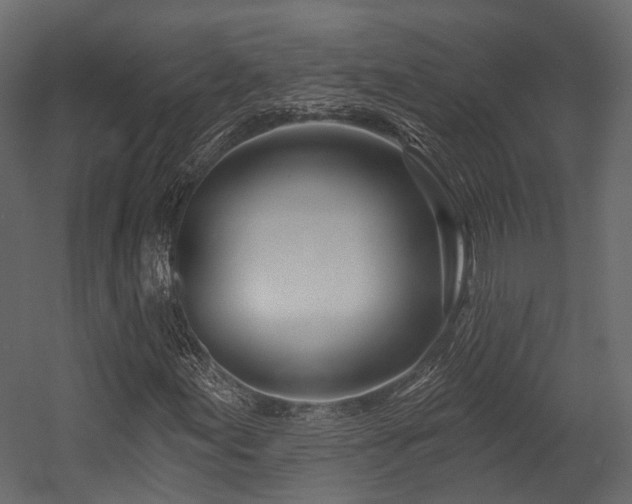 X0000054421155200507291241