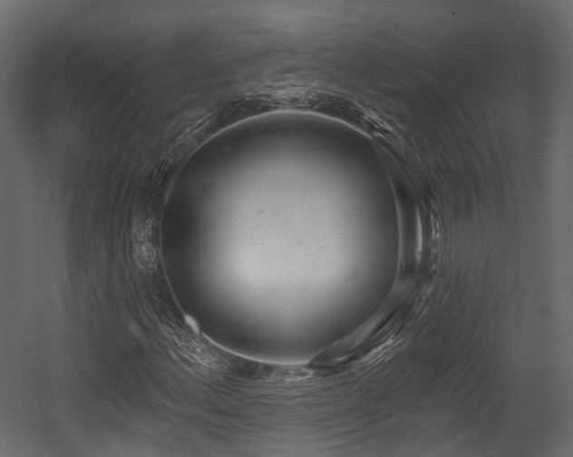 X0000054421156200507291241