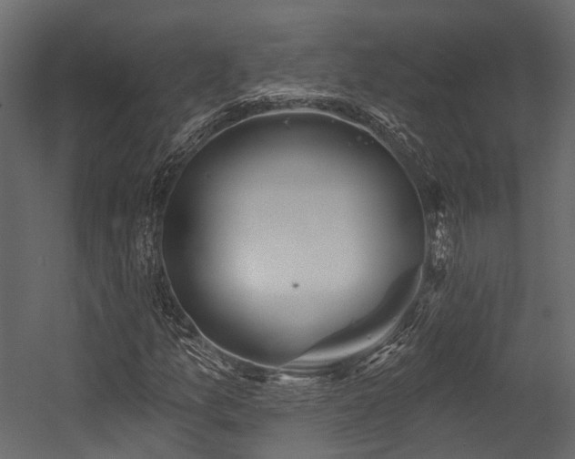 X0000054421157200507291241