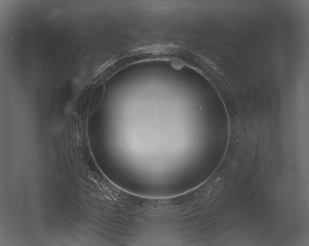 X0000054421158200507291241