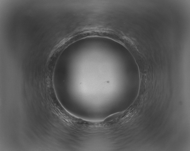 X0000054421159200507291241