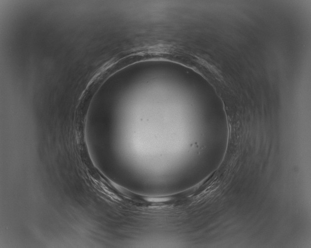 X0000054421160200507291241