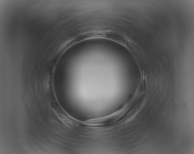 X0000054421161200507291241